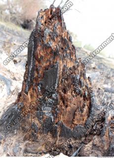 Wood Burned 0006
